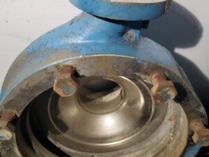 Volute 3175 - Goulds - 3x6-14